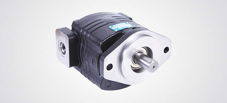Single Gear Pump